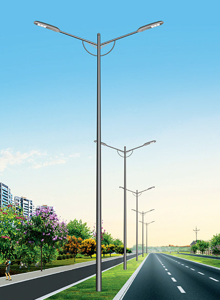 ส่วนประกอบของก้าน